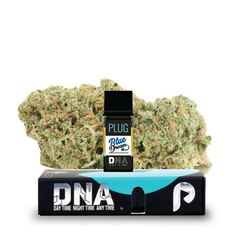 VAPE - 1g ALL IN ONE JUSTplay™ Blue Dream