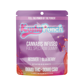 Kushy Punch - Recover Blueberry 2:1 Gummy 90mg