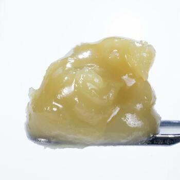 Bop Gun Live Rosin Cold Cure Badder - Tier 2