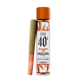 - KING LOUIS XIII - 1G 40