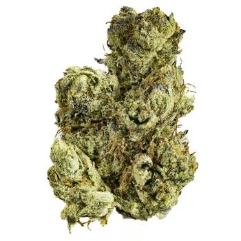 Kush Crasher - 3.5G Premium Flower