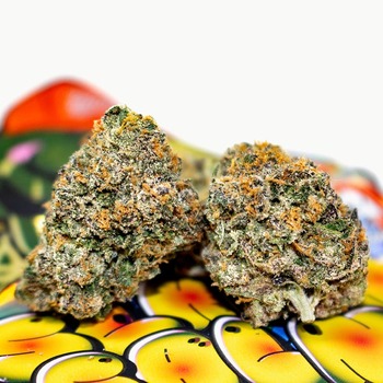 Teds Budz - Pink Taffy - 3.5g