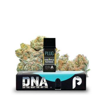 DNA Pod 1g - Pineapple Express Plug™ - 1 item