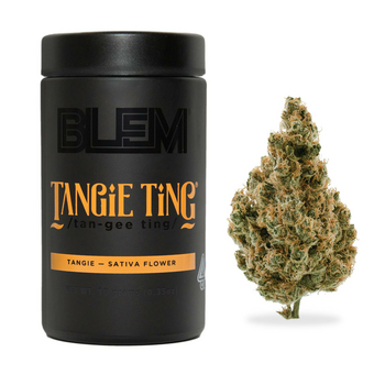 BLEM TANGIE TING 10g