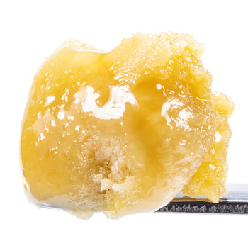 Black Cherry - Live Rosin Cold Cure Badder - T3