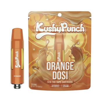 1G Kushy Punch 510 Vape Cart - Orange Dosi