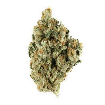 Kushism Signature - Top Shelf: Blue Nerds 3.5g - 3.5 grams